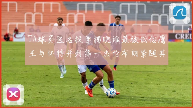 TA球员匿名投票揭晓谁最被低估鹰王与怀特并列第一杰伦布朗紧随其后