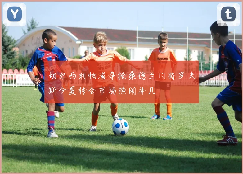 切尔西利物浦争抢桑德兰门将罗夫斯今夏转会市场热闹非凡
